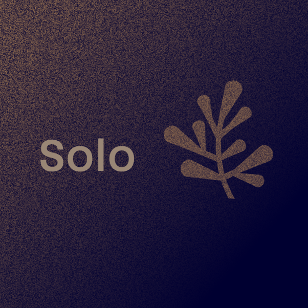 Solo